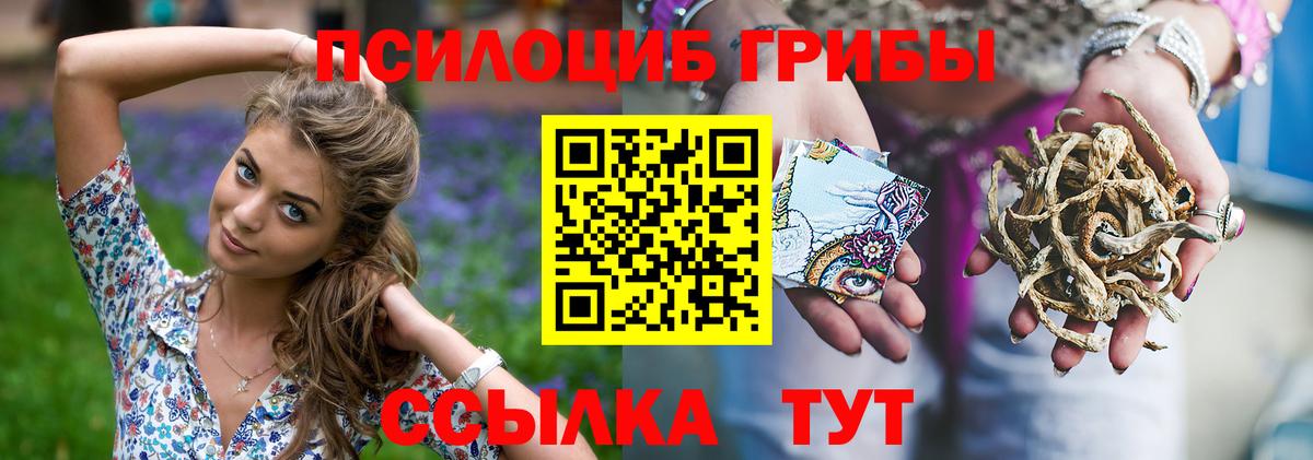 Галлюциногенные грибы MAGIC MUSHROOMS  Галлюциногенные грибы Psilocybine cubensis  Ишимбай  Вход с VPN 